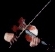 archetviolon.gif